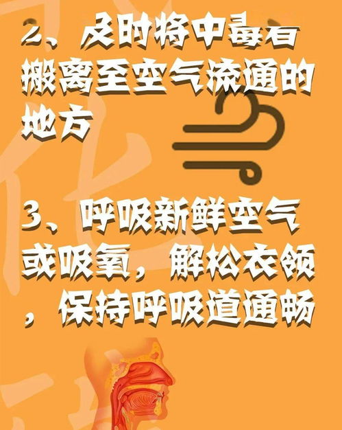 消防安全心中記，平平安安過(guò)大年——系列三：消防安全全攻略
